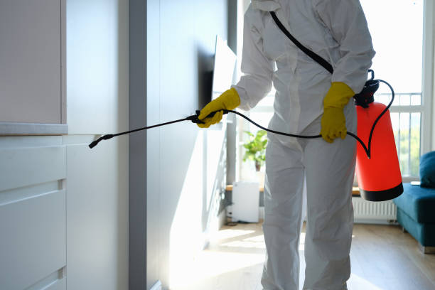Mold Testing and Removal in Keeseville, NY
