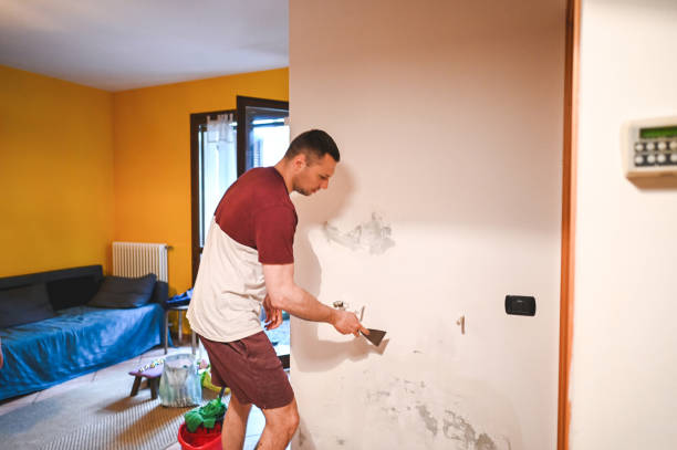 Best Crawl Space Mold Removal  in Keeseville, NY